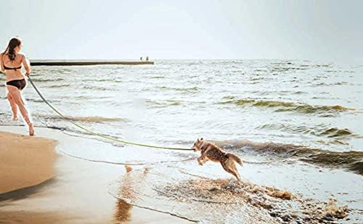 Long Dog Leash for Obedience Recall Training - Available in 15FT, 20FT, 30FT, 40FT, and 50FT for Small and Medium Dogs - Ideal for Camping, Training, Play, and Backyard Use (20FT, Black)