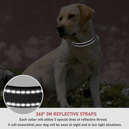 Reflective Dog Collar, Puppy Collar with Buckle Adjustable, Black M