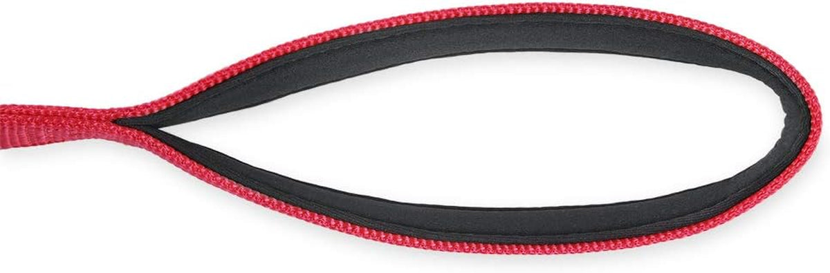Heavy-Duty 18-Inch Dog Leash with Padded Handle, Made of Durable Nylon