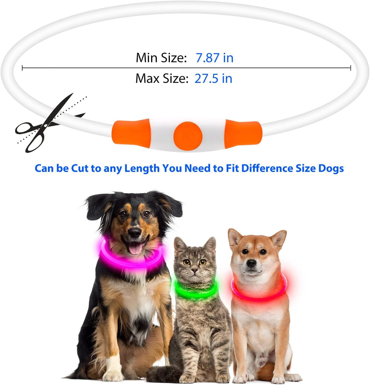 USB Rechargeable LED Dog Collar with Glow Feature - Orange