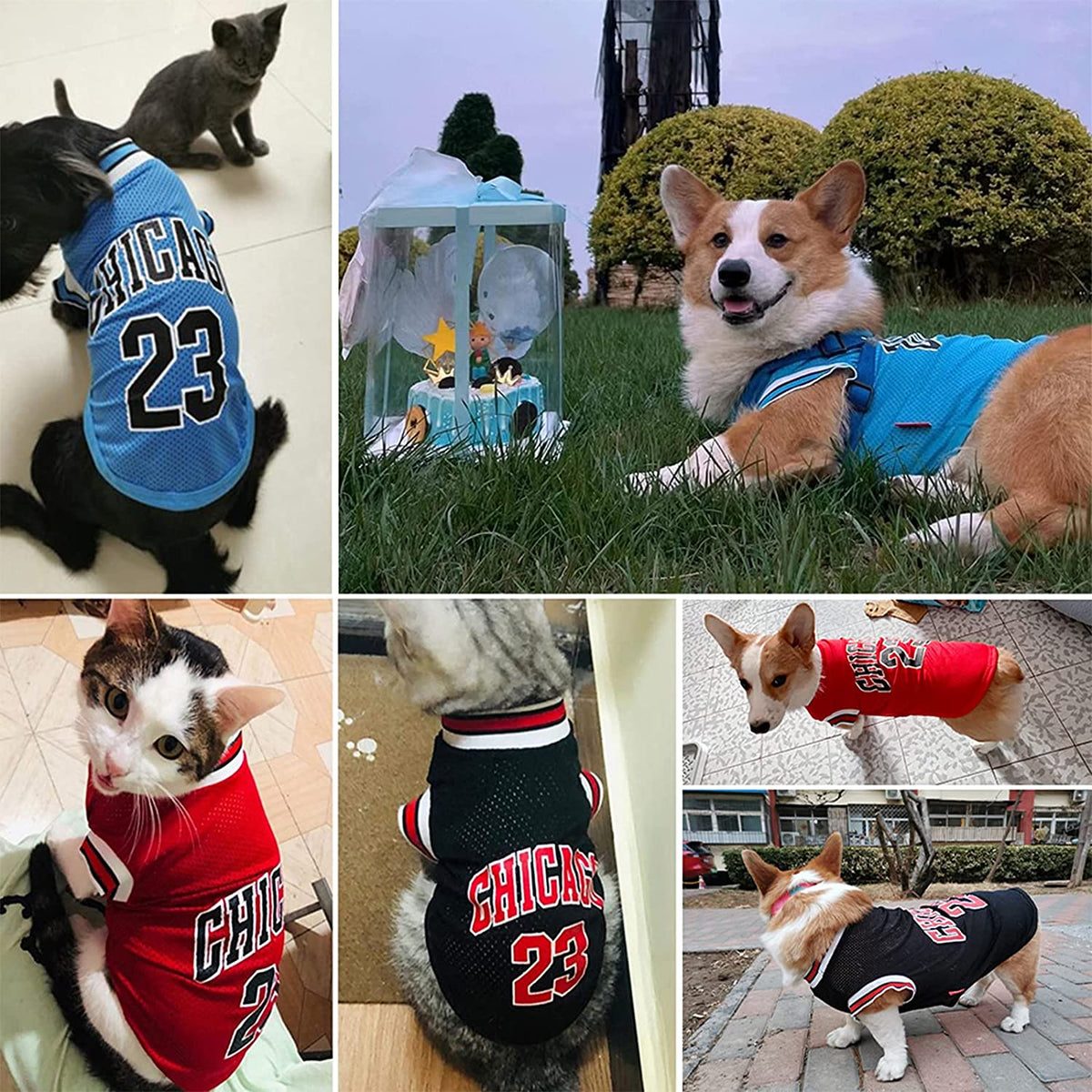 Dog Basketball Jersey - Stylish Cotton T-Shirt for Large, Medium, and Small Dogs (Chihuahua, Yorkies) - Blue and Red, Size Large (Back: 13.78 in, Chest: 18.9 in)