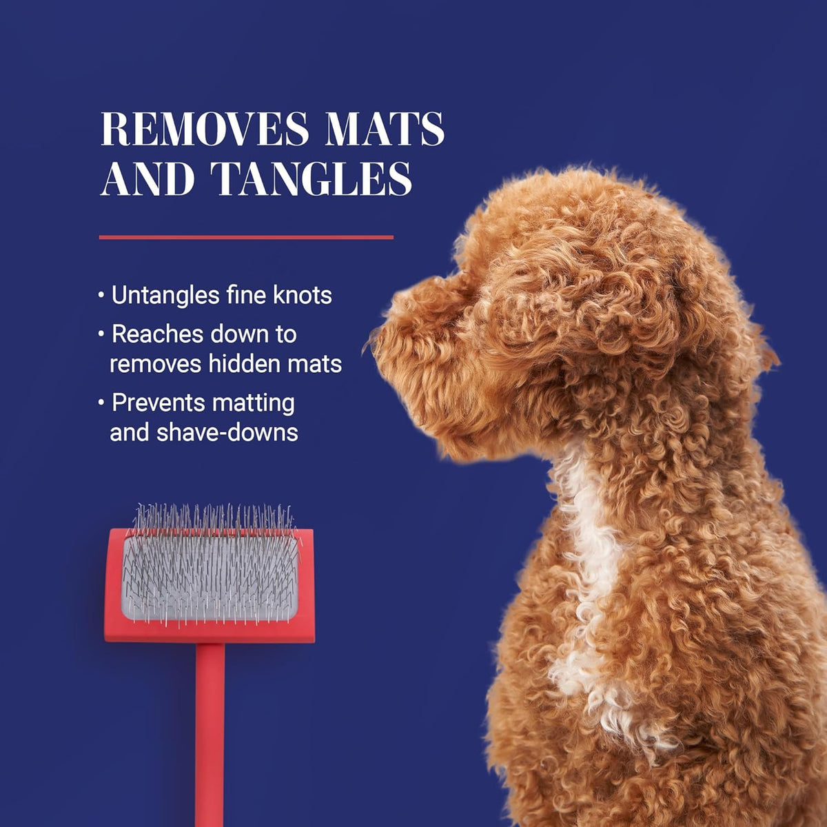 Big G Professional Slicker Brush for Dogs (Goldendoodles, Labradoodles, Poodles) - Effortless Grooming, Fluffing, and Detangling, Coral, Large