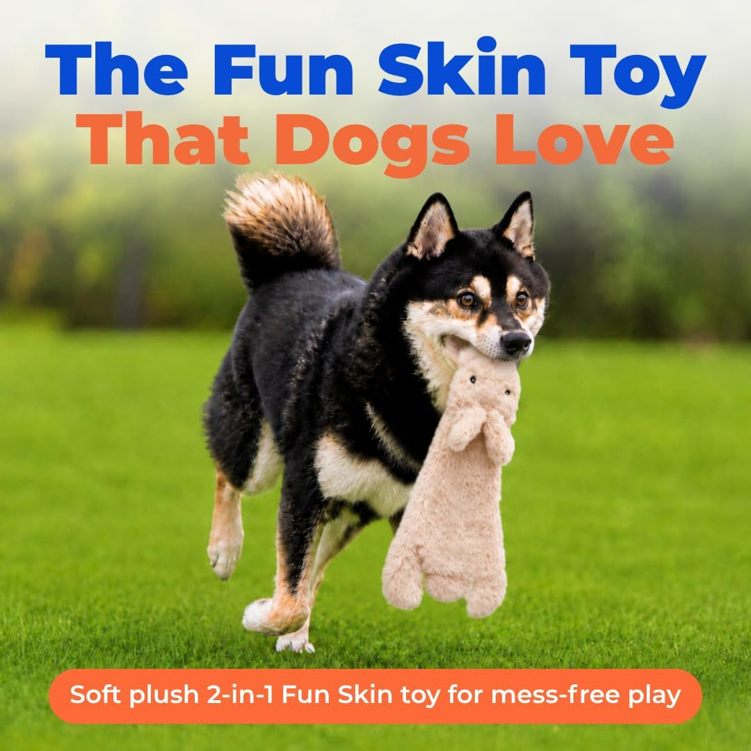 Medium 2-in-1 Stuffless Squeaky Dog Toy - Hare