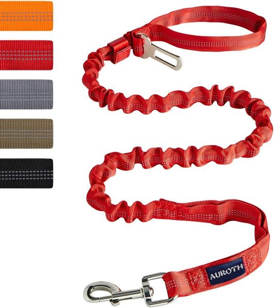 Bungee Dog Leash for Large Breeds with Shock Absorption and No-Pull Design