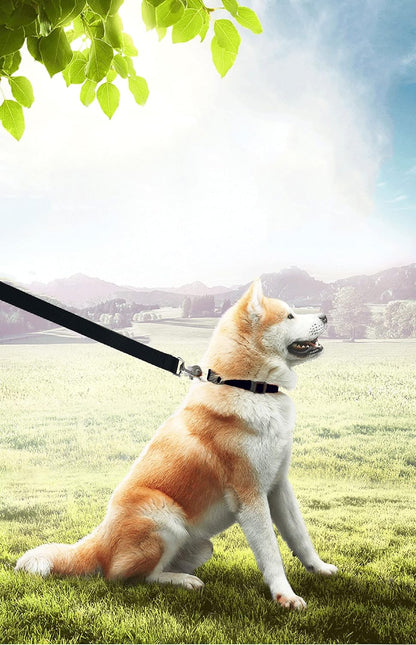 Long Dog Leash for Obedience Recall Training - Available in 15FT, 20FT, 30FT, 40FT, and 50FT for Small and Medium Dogs - Ideal for Camping, Training, Play, and Backyard Use (20FT, Black)