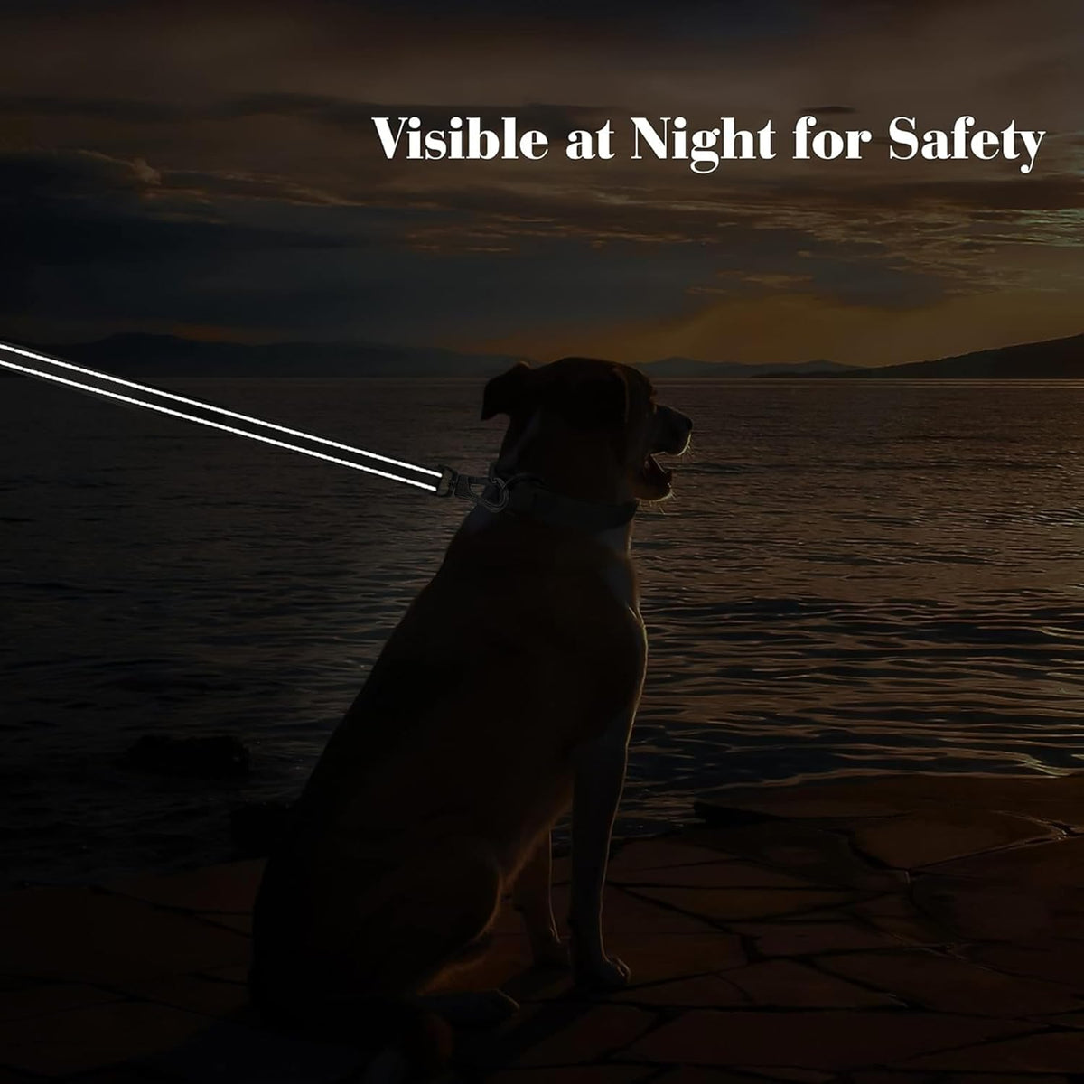 4-Foot Heavy-Duty Dog Leash with Comfort Padded Dual Handles