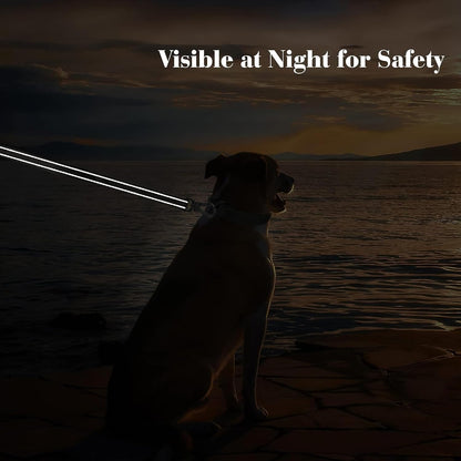 4-Foot Heavy-Duty Dog Leash with Comfort Padded Dual Handles