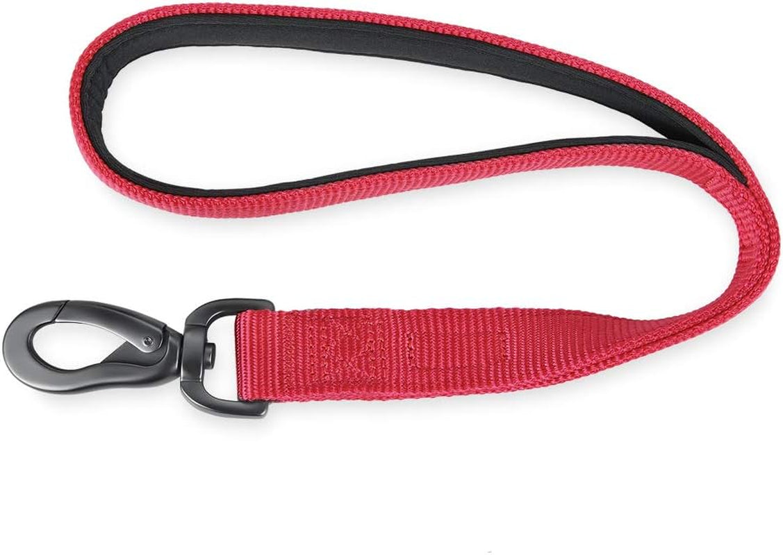 Heavy-Duty 18-Inch Dog Leash with Padded Handle, Made of Durable Nylon