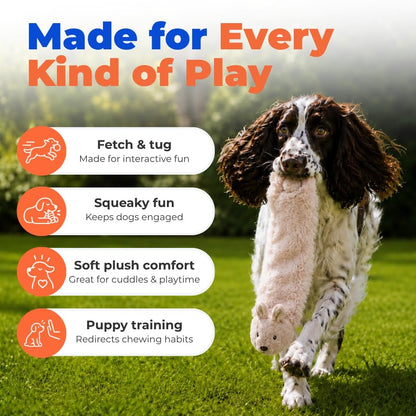 Medium 2-in-1 Stuffless Squeaky Dog Toy - Hare