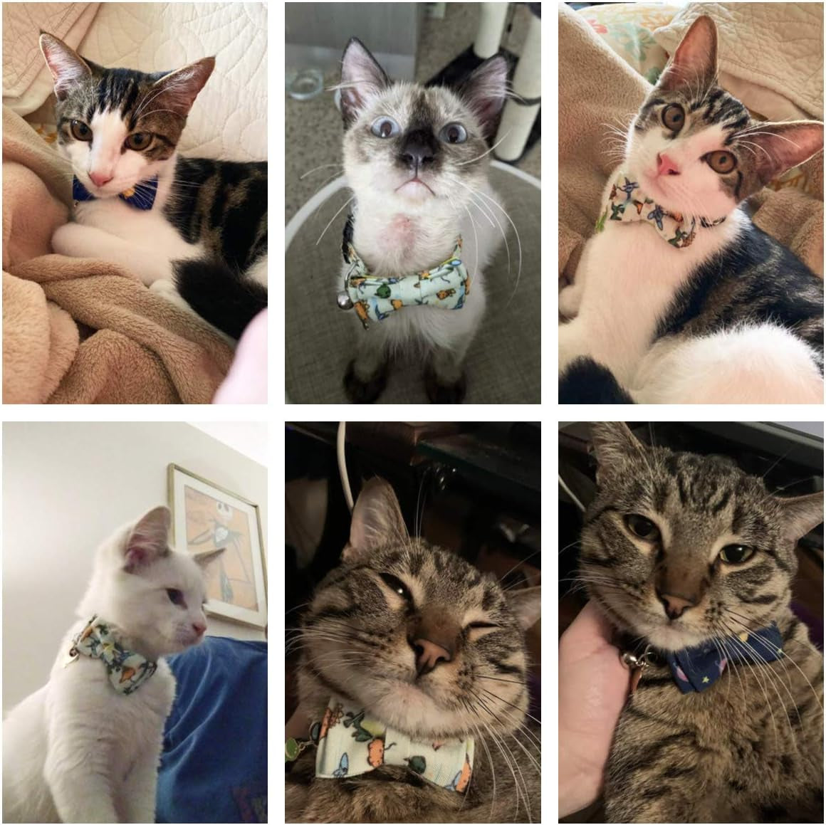 Dinosaur-Themed Breakaway Cat Collars with Bow Tie and Bell, Set of 2