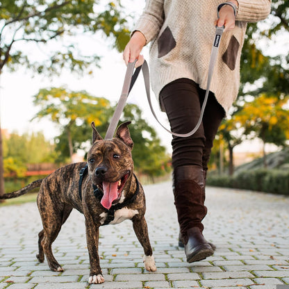 4-Foot Heavy-Duty Dog Leash with Comfort Padded Dual Handles