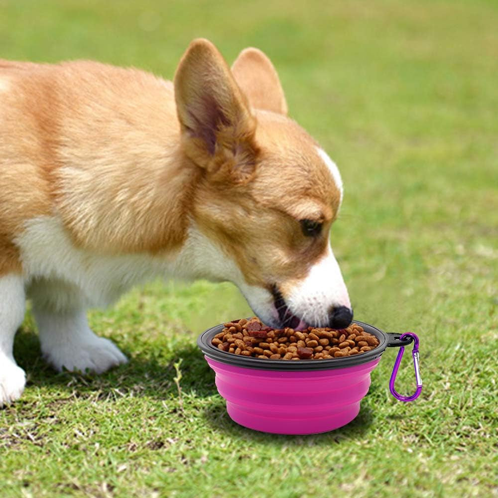 Collapsible Dog and Cat Bowls - 2 Pack Portable Water and Food Dishes with Carabiners (Small, Green & Purple)
