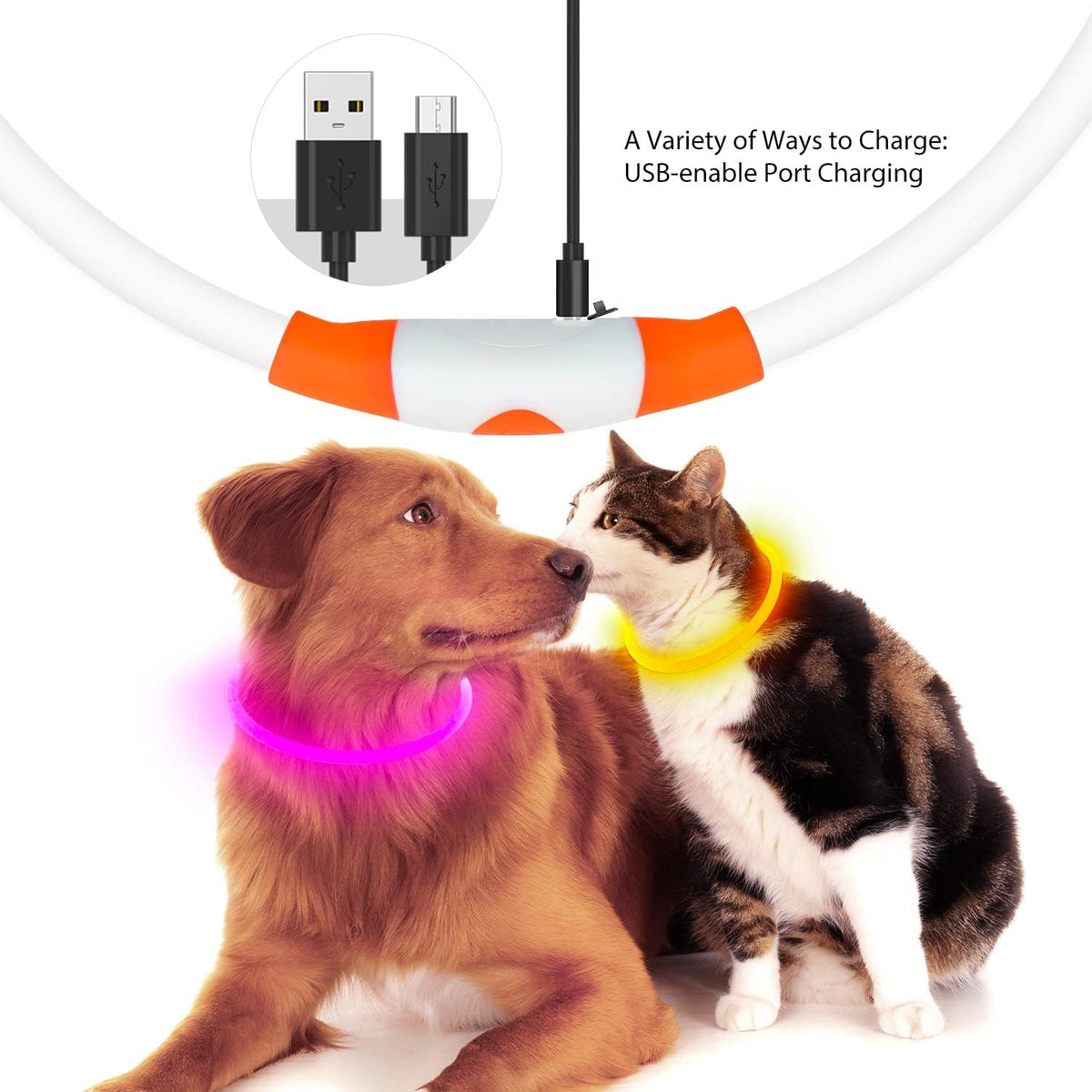 USB Rechargeable LED Dog Collar with Glow Feature - Orange