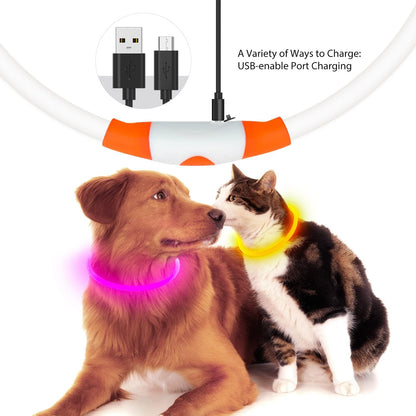 USB Rechargeable LED Dog Collar with Glow Feature - Orange
