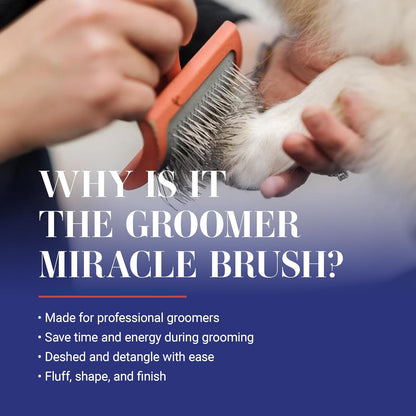 Big G Professional Slicker Brush for Dogs (Goldendoodles, Labradoodles, Poodles) - Effortless Grooming, Fluffing, and Detangling, Coral, Large