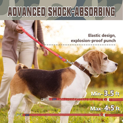 Bungee Dog Leash for Large Breeds with Shock Absorption and No-Pull Design