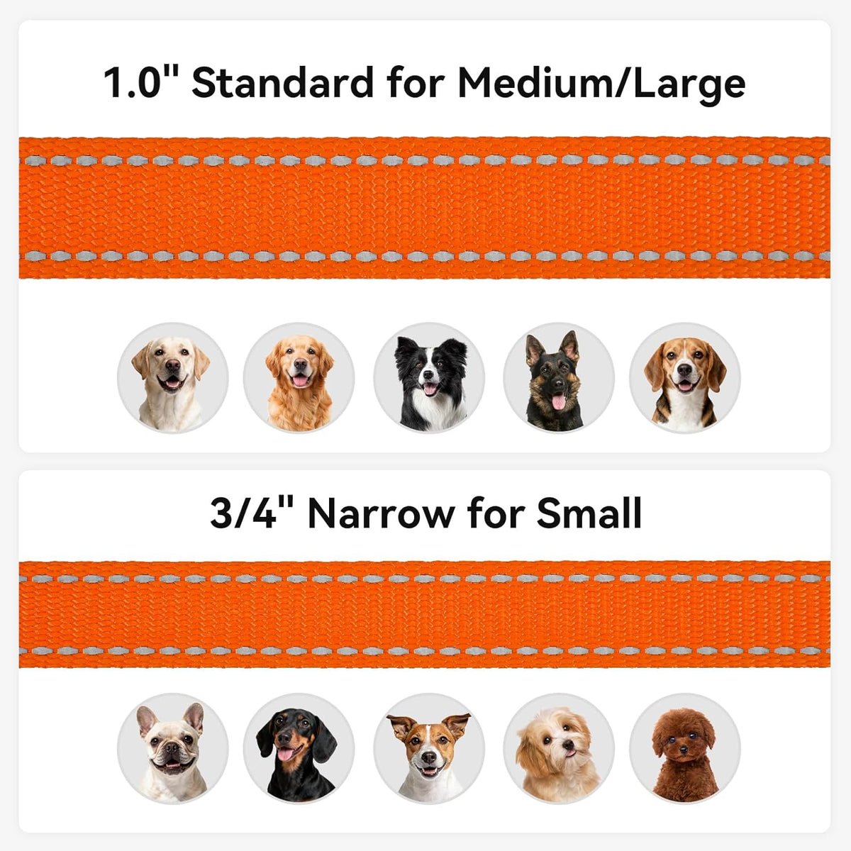 Reflective 5 FT x 1" Dog Leash for Medium and Large Breeds - Orange