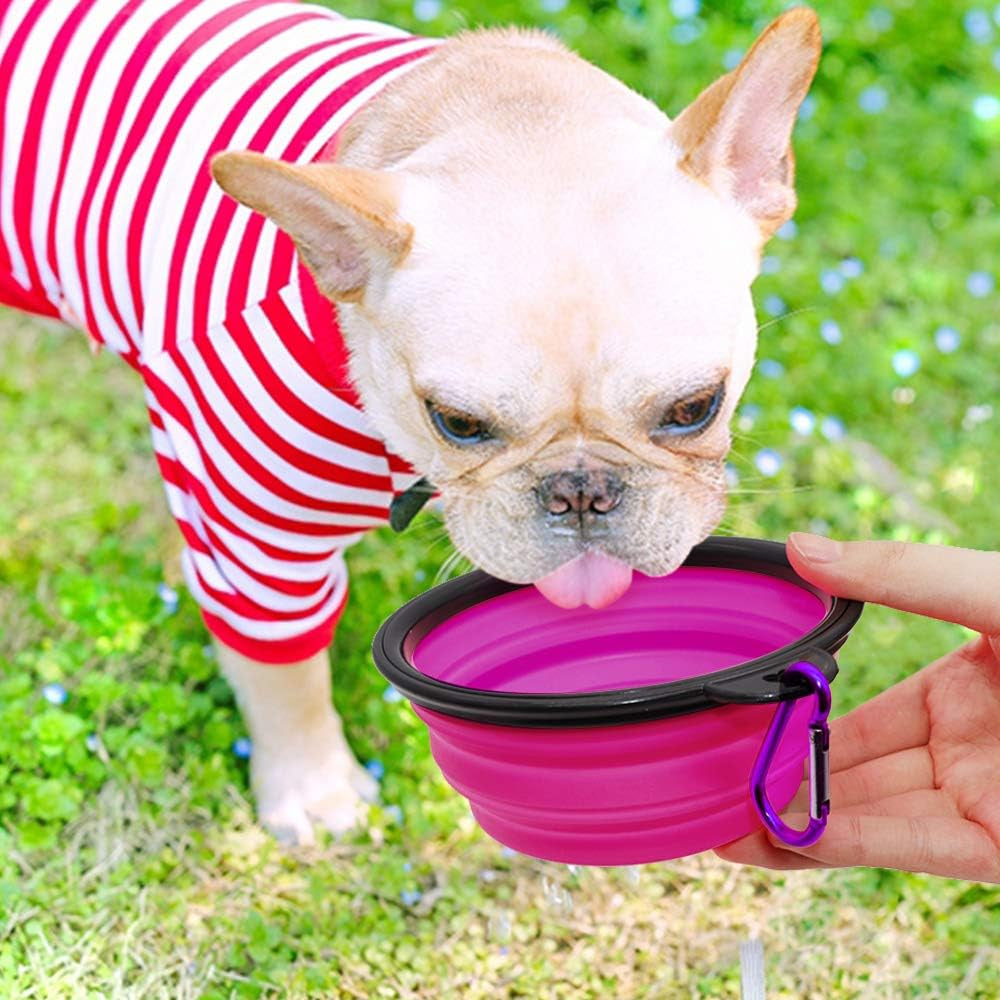 Collapsible Dog and Cat Bowls - 2 Pack Portable Water and Food Dishes with Carabiners (Small, Green & Purple)