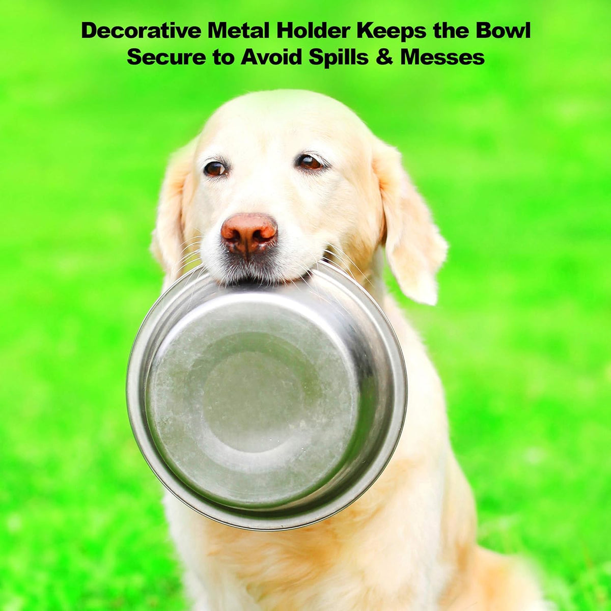Set of 2 Stainless Steel Dog Bowls with Decorative Stand - 40 Oz Metal Food and Water Dishes for Large Pets - Essential Puppy Accessories (Silver/Black)