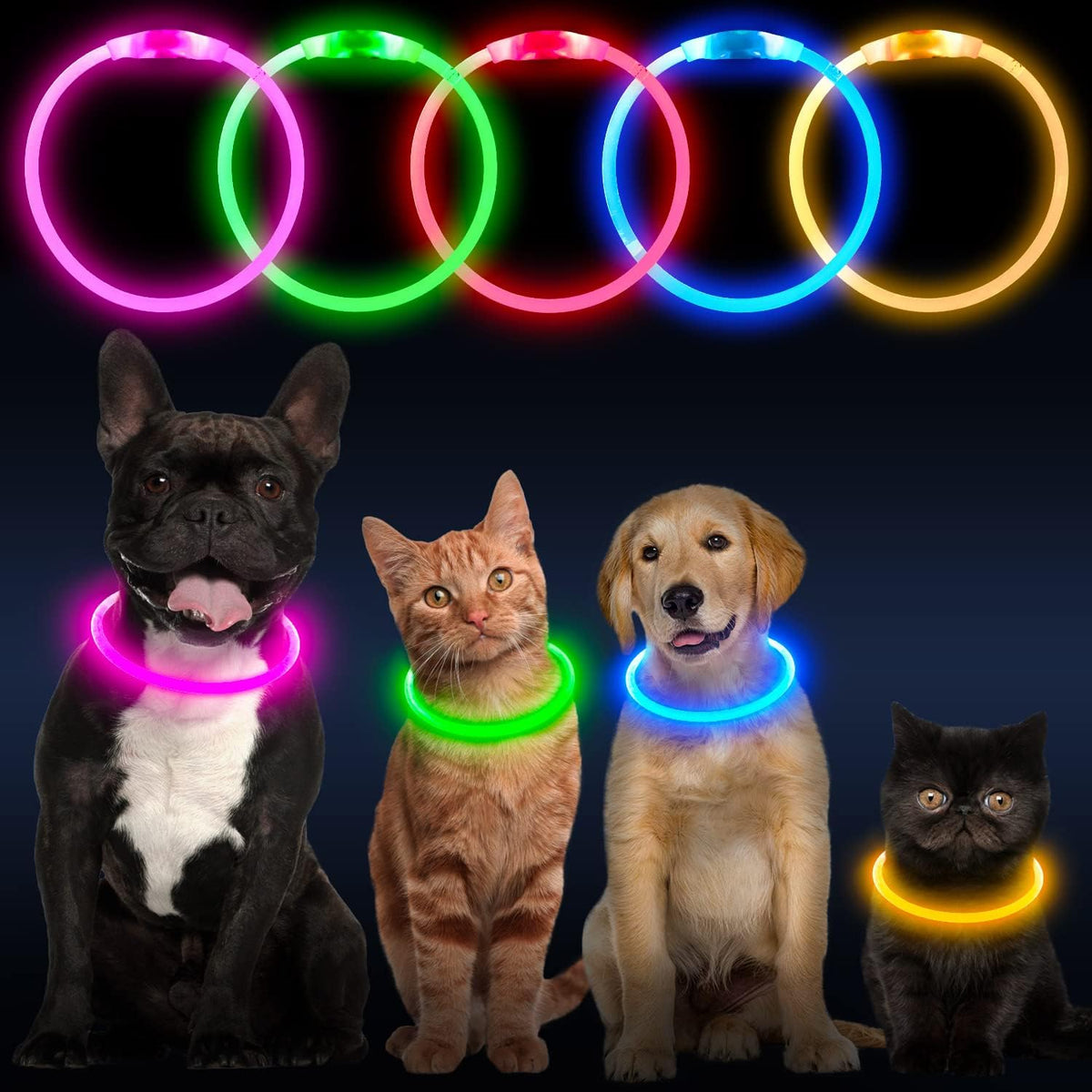USB Rechargeable LED Dog Collar with Glow Feature - Orange