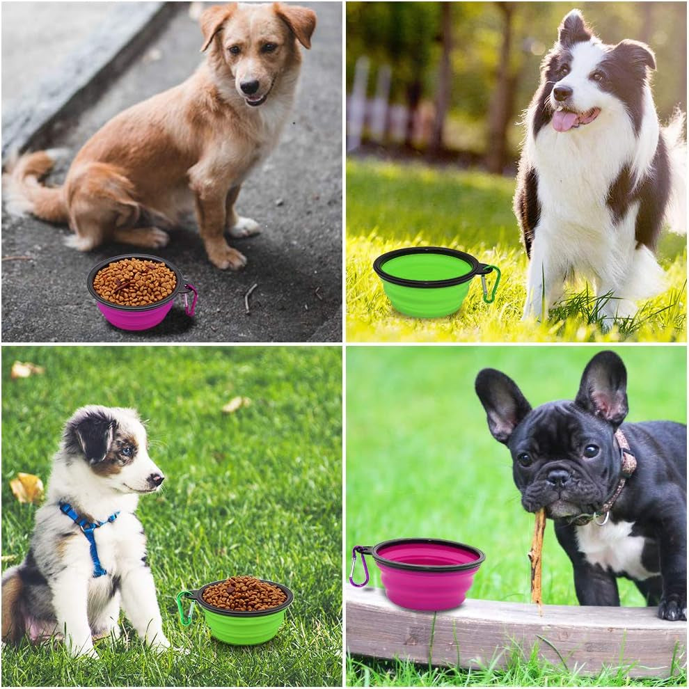 Collapsible Dog and Cat Bowls - 2 Pack Portable Water and Food Dishes with Carabiners (Small, Green & Purple)