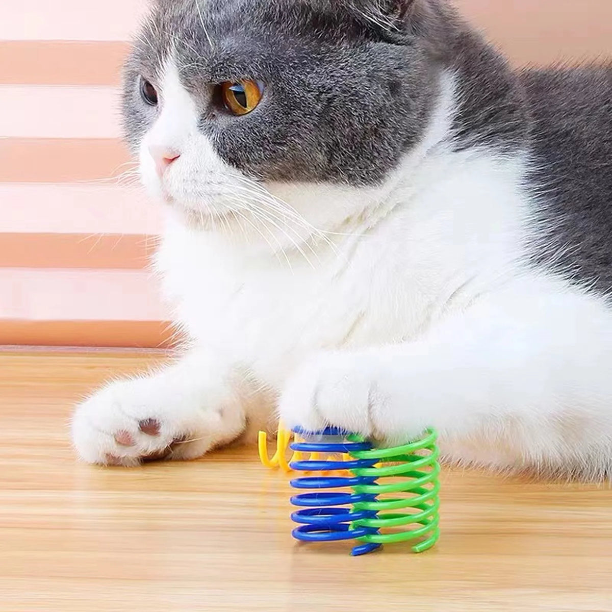 40-Pack Colorful Cat Spiral Springs - Durable Plastic Coils for Indoor Cats, Ideal for Swatting, Biting, and Hunting Activities