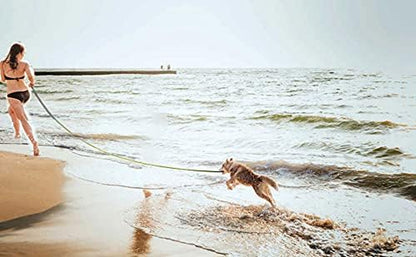 Long Dog Leash for Obedience Recall Training - Available in 15FT, 20FT, 30FT, 40FT, and 50FT for Small and Medium Dogs - Ideal for Camping, Training, Play, and Backyard Use (20FT, Black)