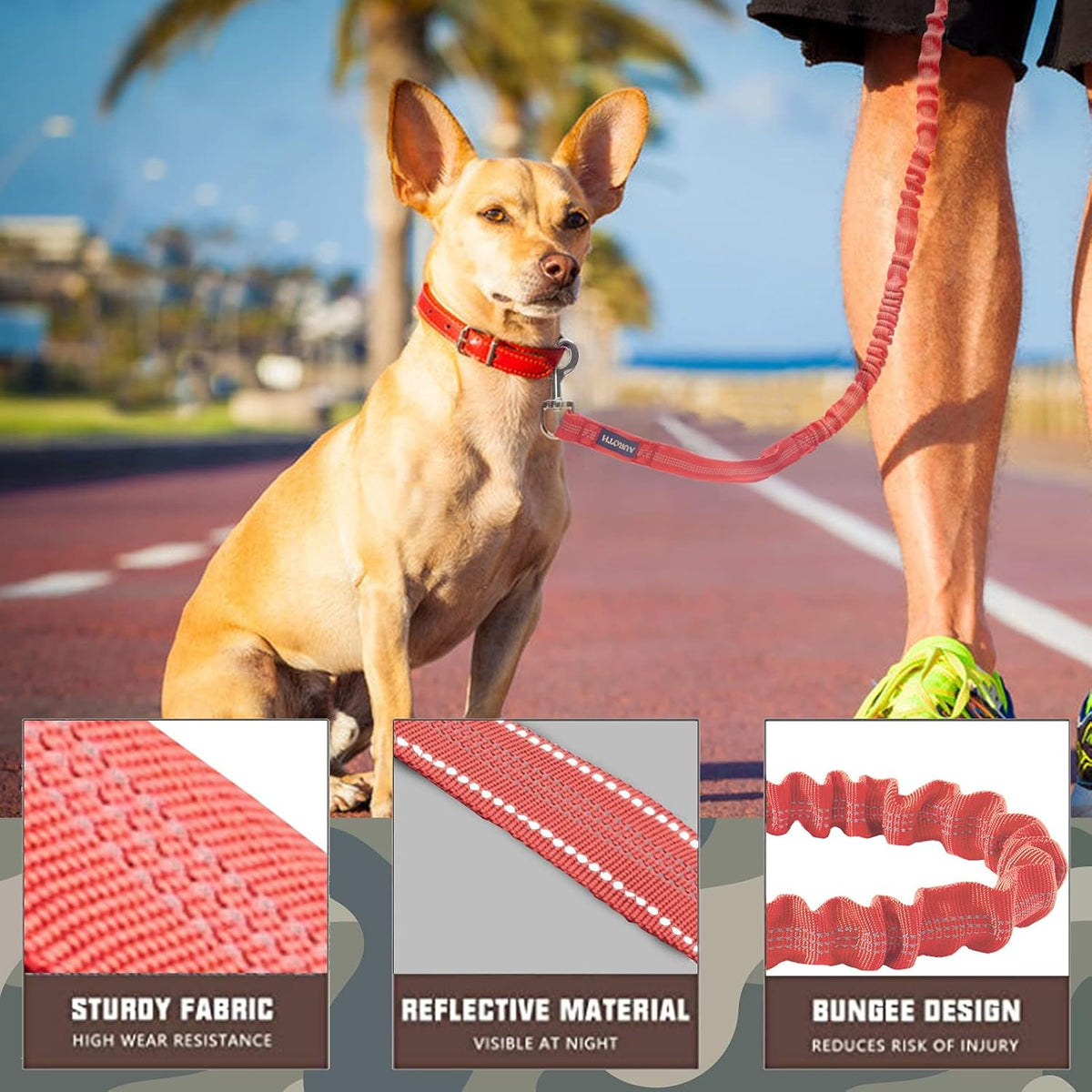Bungee Dog Leash for Large Breeds with Shock Absorption and No-Pull Design