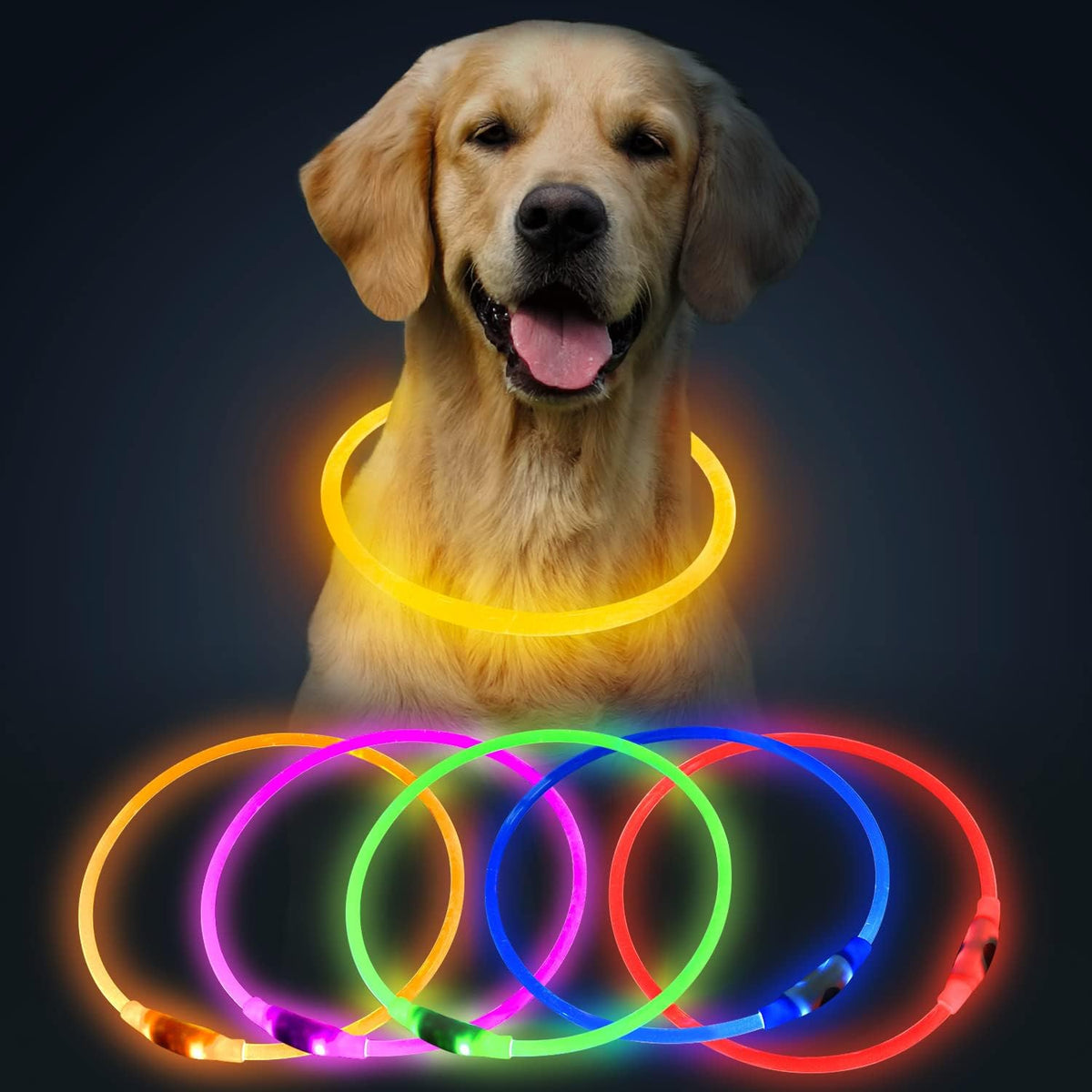 USB Rechargeable LED Dog Collar with Glow Feature - Orange