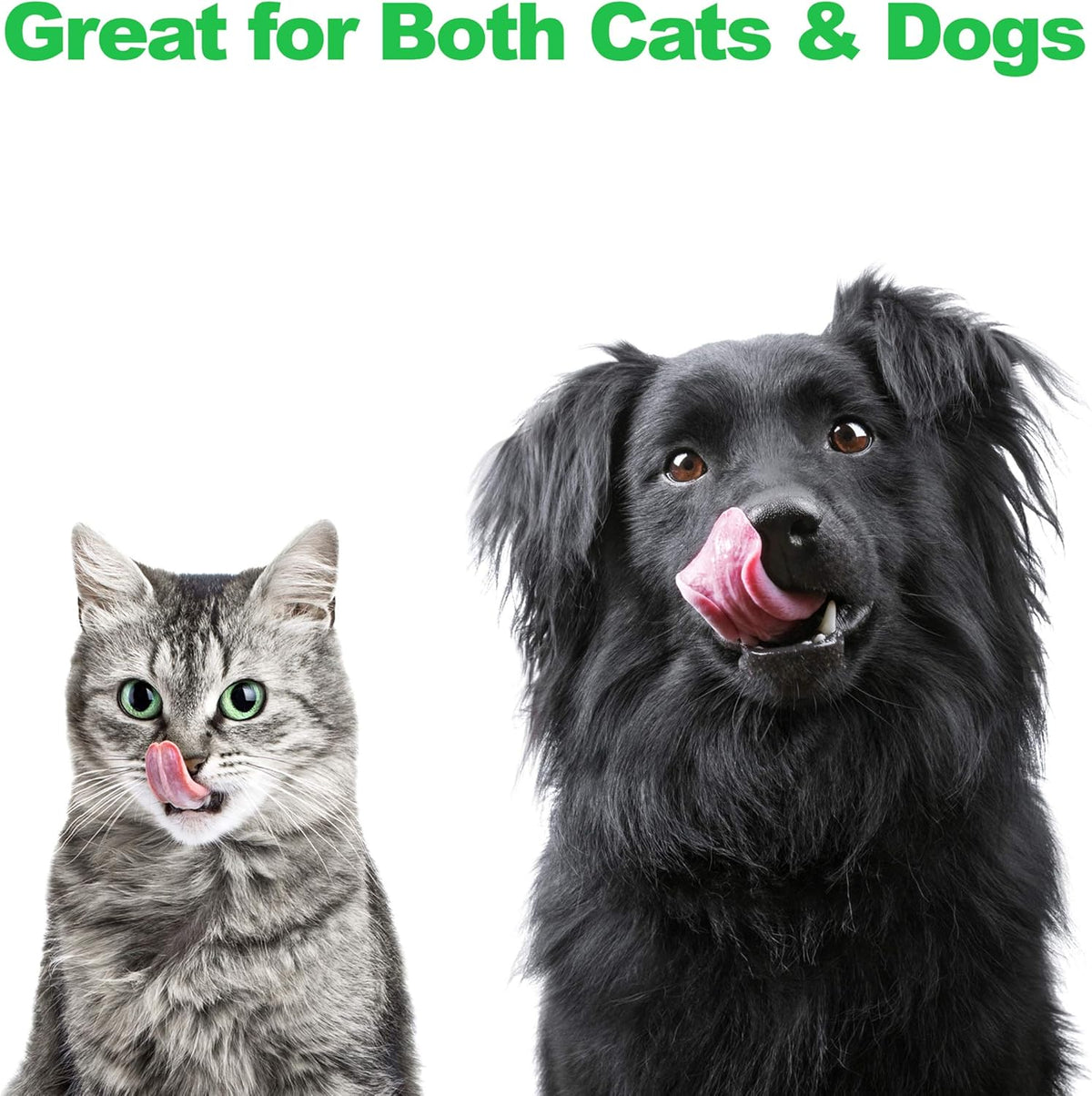 Set of 2 Stainless Steel Dog Bowls with Decorative Stand - 40 Oz Metal Food and Water Dishes for Large Pets - Essential Puppy Accessories (Silver/Black)