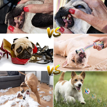 Puppy Chew Toys for Teething Puppy Toys Small Dog Rope Balls for Teething Chew Interactive Teeth Cleaning Tug Toys Storage Baske