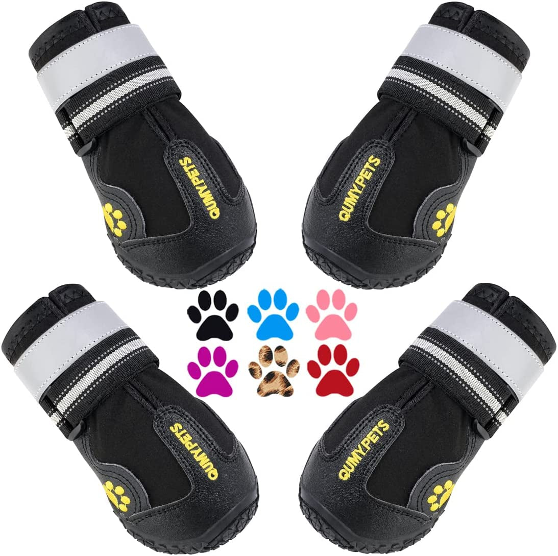 Canine Footwear for Hot Pavement and Winter Conditions: Protective Boots and Paw Shields